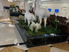 -名流健康高端体检中心·名宾门诊·健康管理