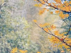 -黄公望隐居地