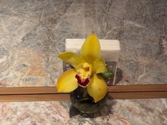 -上海前滩香格里拉大酒店