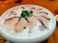 -蒙都43°9羊火锅(平庄店)
