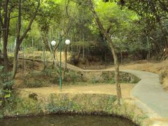 -韶山毛泽东同志故居