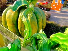 -水上乐园·欢乐世界