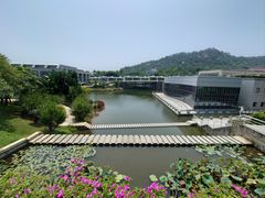 -厦门国家会计学院