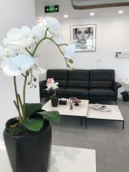 -芙芬芳·半永久纹眉（深圳旗舰店）