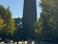 -玲珑塔公园