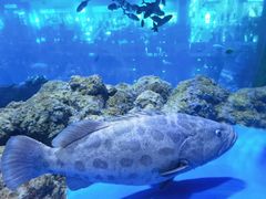 -成都浩海立方海洋公园