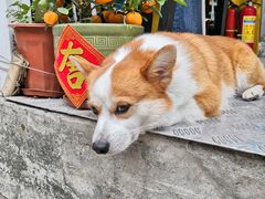 景观位-小梁哥云吞面(黄贝岭店)