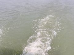 -嬉子湖生态旅游区