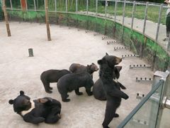 -西安秦岭野生动物园