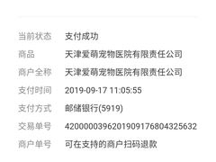 -美联众合宠物医院·爱萌分院·内外科·猫科中心