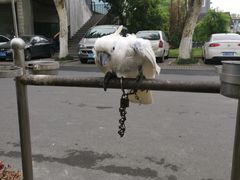 -卤儿道道(经纬店)