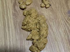 -虹泰宠物医院 ·旗舰店·24h(南秀路店)