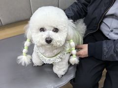 -美联众合动物医院·24h转诊中心