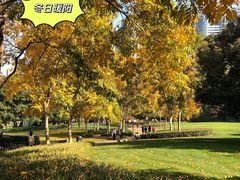 -陆家嘴中心绿地