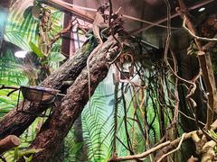 -正佳雨林生态植物园