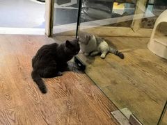 -小时光咖啡馆(开森度假森林店)