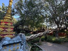 -瑞丽独树成林风景区