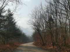 -青峰峡国家森林公园