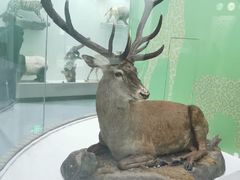 -国家自然博物馆