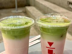 -代数学家algebraist(苏州中心店)