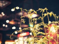 -西西弗书店&矢量咖啡(凯德晶萃广场店)