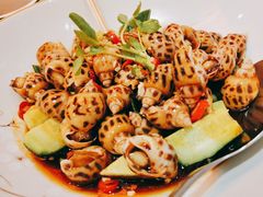 捞汁花螺-肥福排档(星光店)