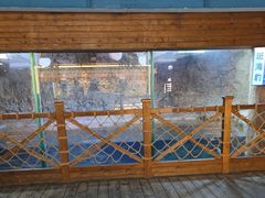 -海合安青岛极地海洋公园