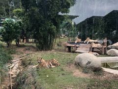 -泉州海丝野生动物世界