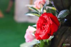 -北京七彩云南翡翠珠宝旗舰店(月坛店)