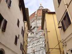 -圣母百花大教堂穹顶