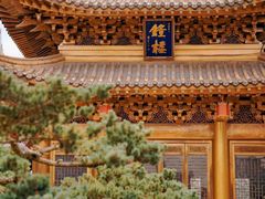 -上海东林寺(金山区)