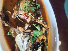 -白渔泡湿地公园