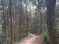 -西湖风景区十里琅珰-五云山