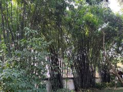 -成都杜甫草堂博物馆