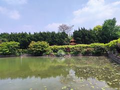 -嘉定紫藤园