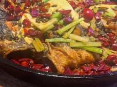 -老板恋上鱼(恒隆广场店)