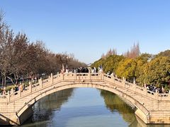 -西园戒幢律寺