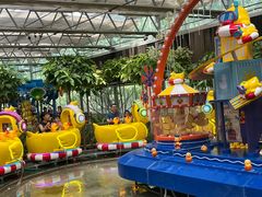 -南宫五洲植物乐园