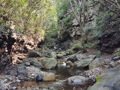 -云岫谷游猎自然风景区