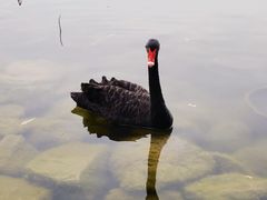 -朝阳公园游乐园