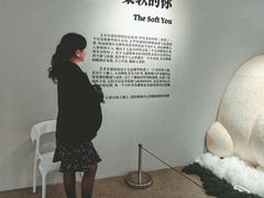 -辰熙ACX星海艺术中心