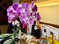 -一叶一世界•素食餐厅(环球中心店)