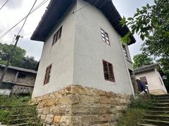 -南山植物园