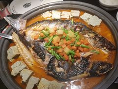 -师烤·豆花烤鱼(广州荔湾扬韬广场店)