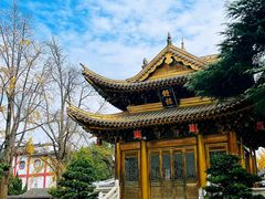 -上海东林寺(金山区)