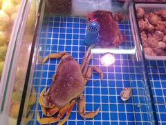 -渔人湾码头海鲜市场负二楼