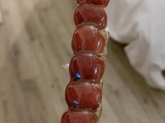 -和禄德冰糖葫芦