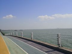 -贡湖湾湿地公园