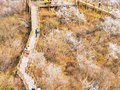 -大岭沟猕猴桃谷风景区
