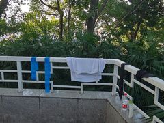 -鹅岭公园瞰胜楼